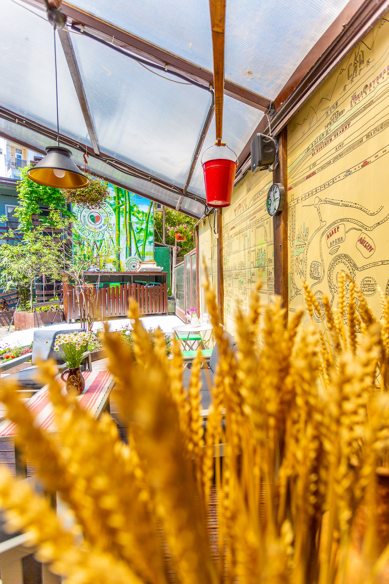 Фото Бамбук хутор