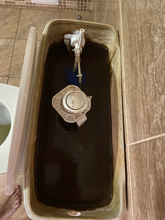 Фото Надежда