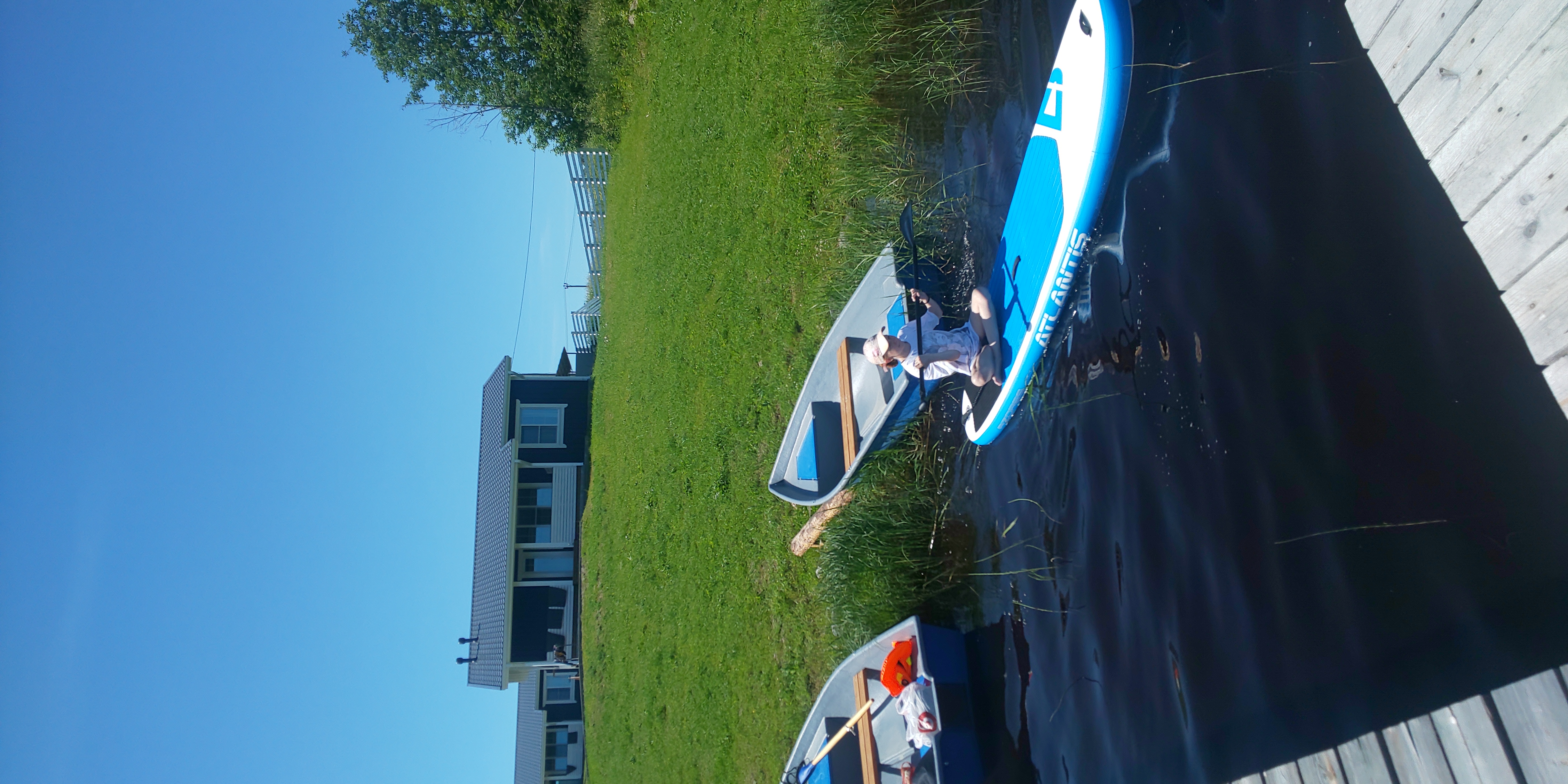 Фото Черника в Сонном заливе