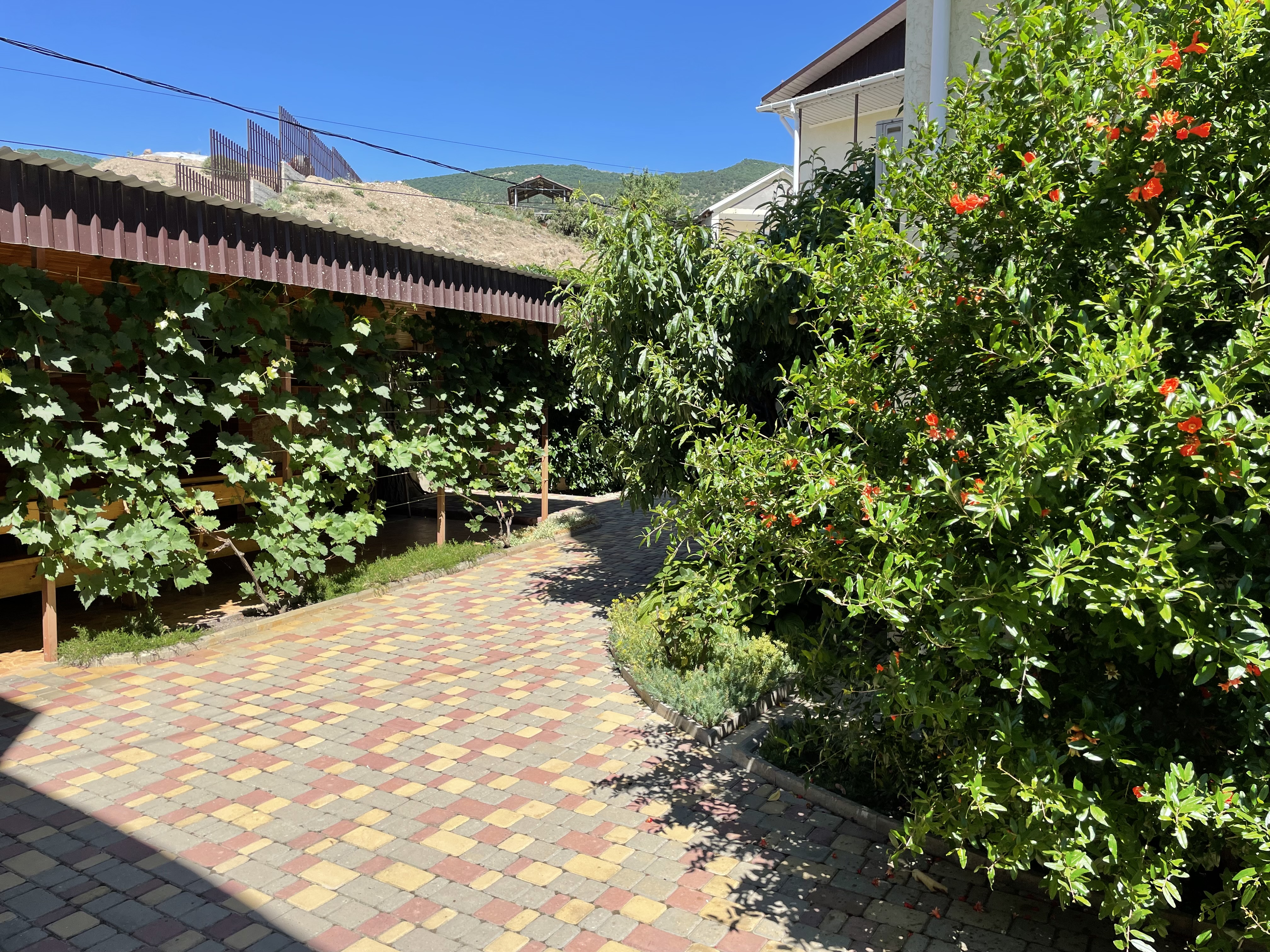 Фото Джанхаус