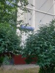 Дом быта (Osenniy Boulevard, 10к1) ، تصنيع وإصلاح المفاتيح