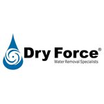 Dry Force Water Removal Specialists (United States, San Antonio, 11853 Starcrest Drive), construction company