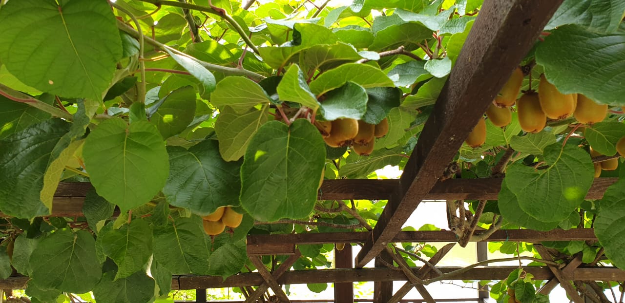 Фото Загородный дом на Мацесте