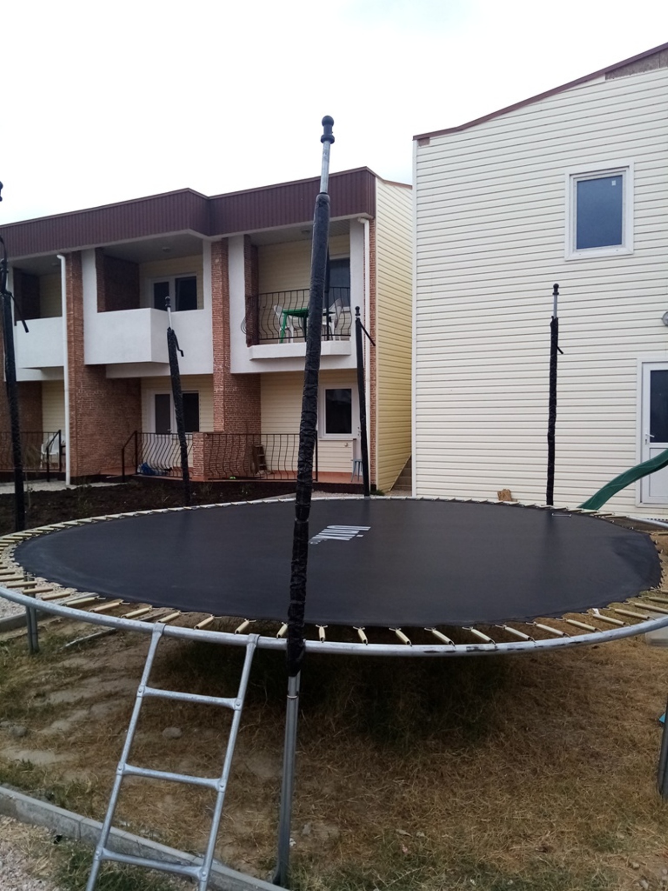 Фото Алмарис