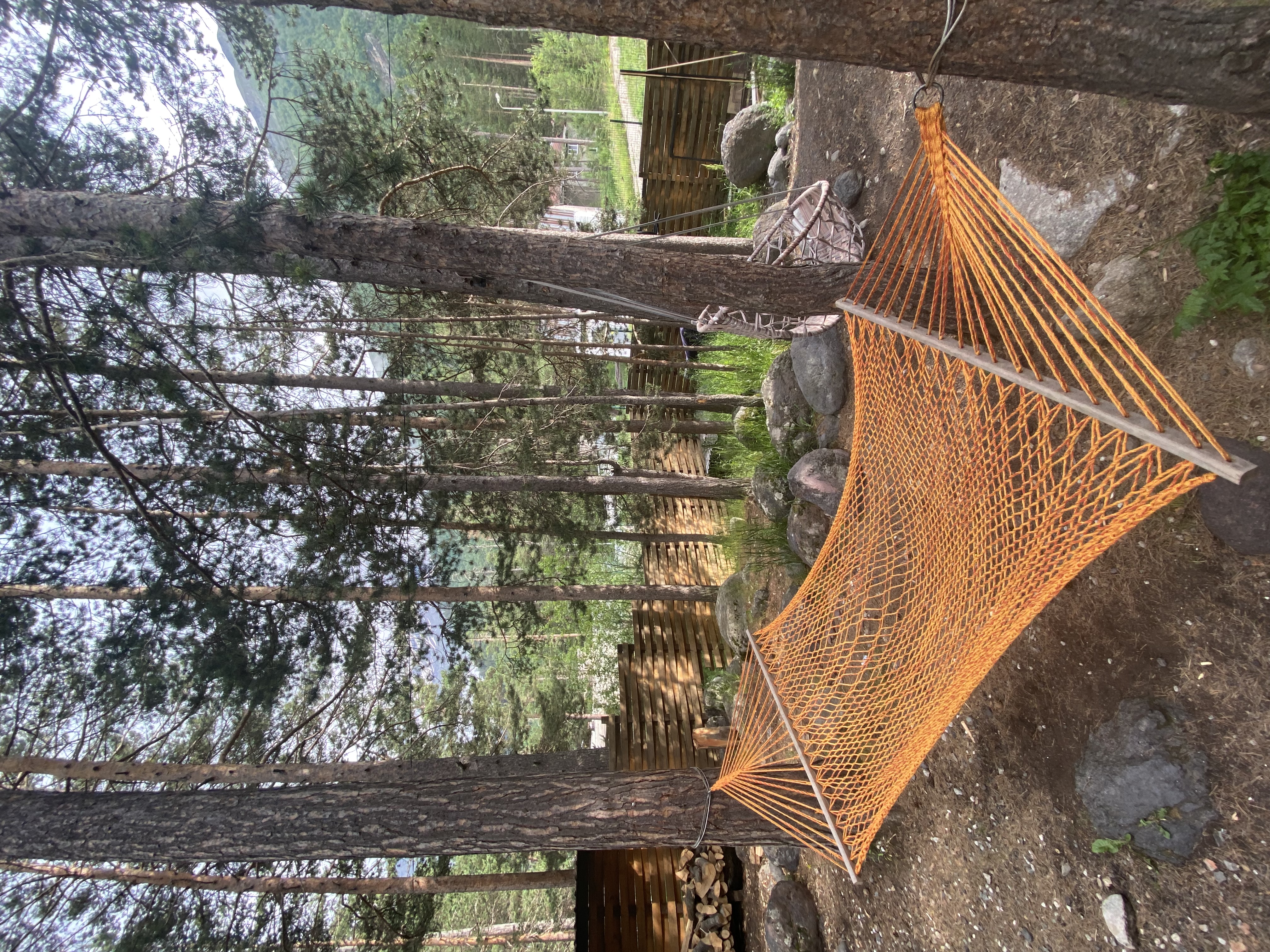 Фото Блэк Поинт