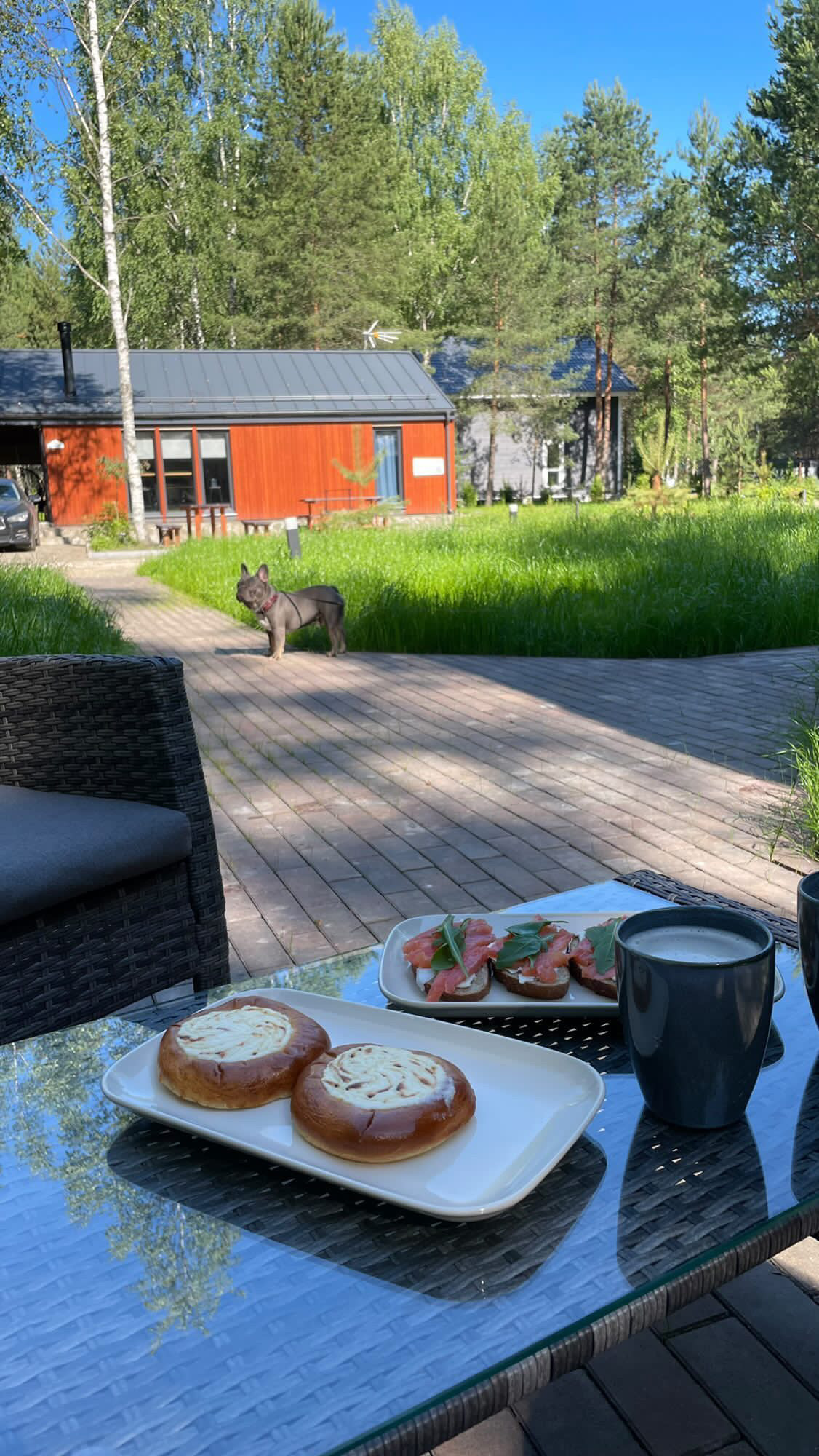 Фото Домик в соснах