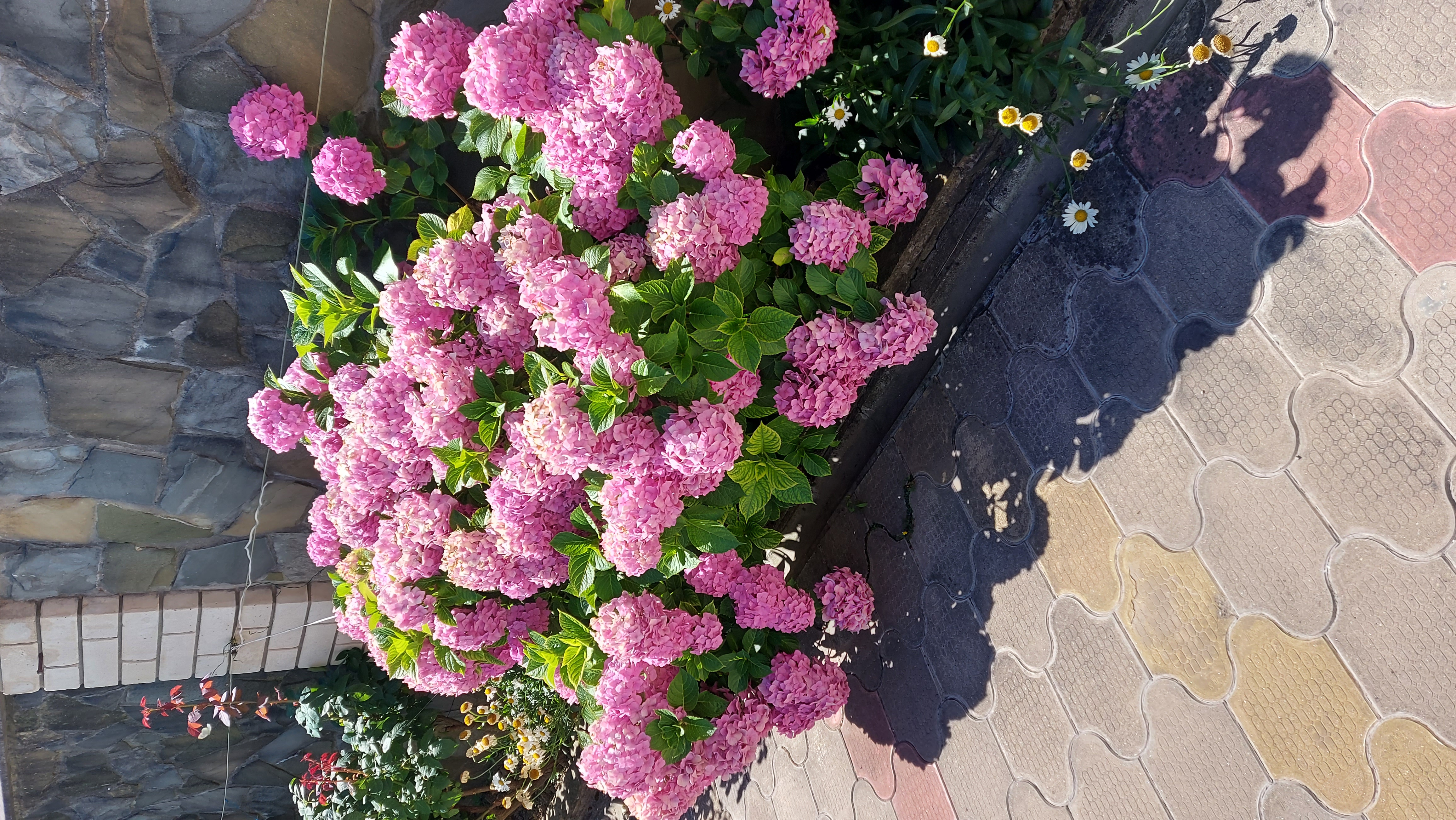 Фото Тихая гавань