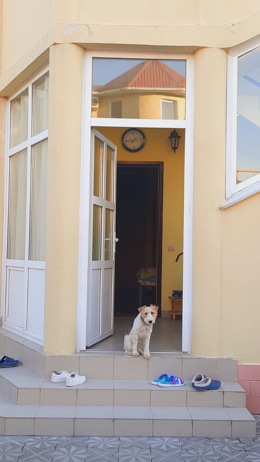 Фото Розовый сад