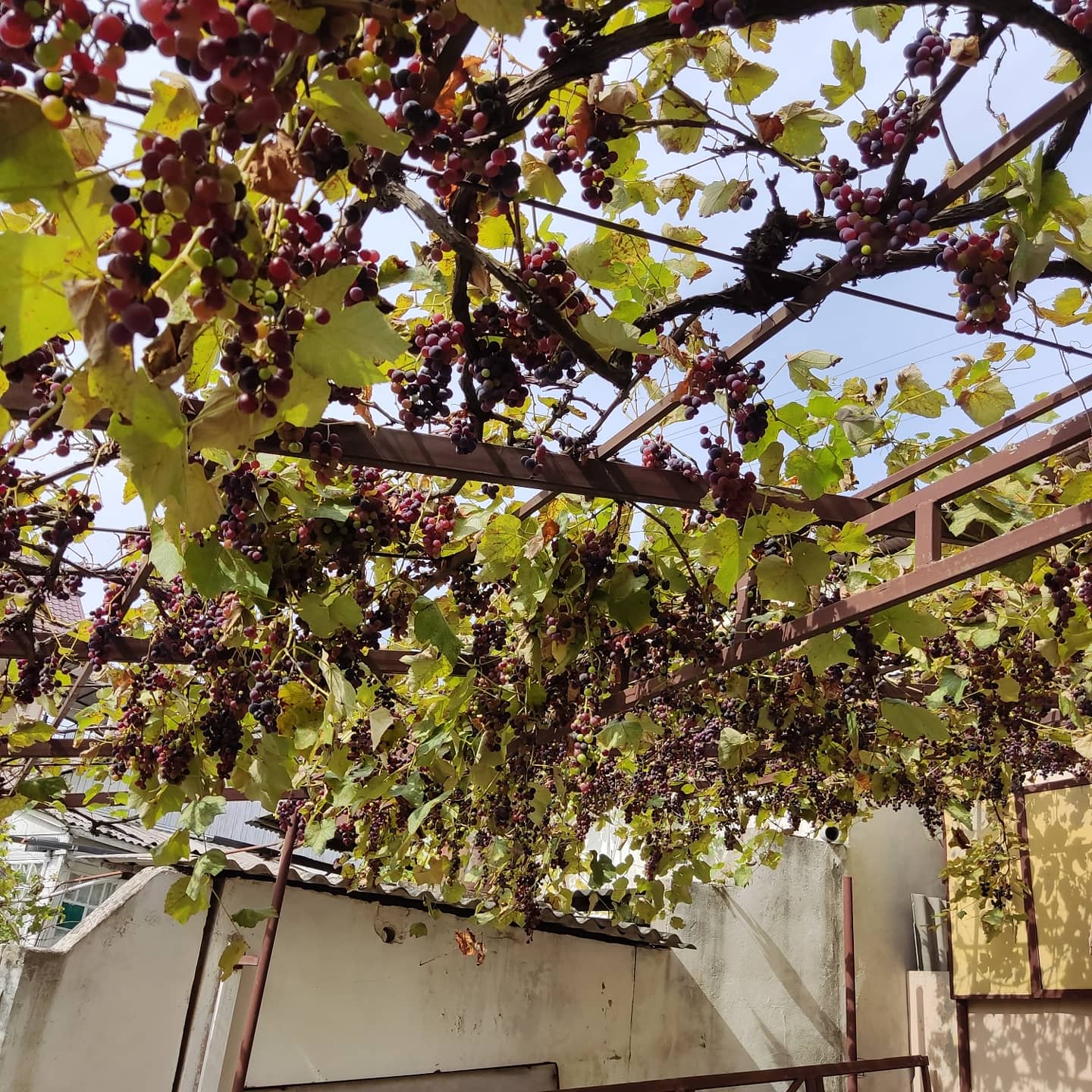 Фото У Мамы