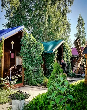 Фото Лазурное Яровое