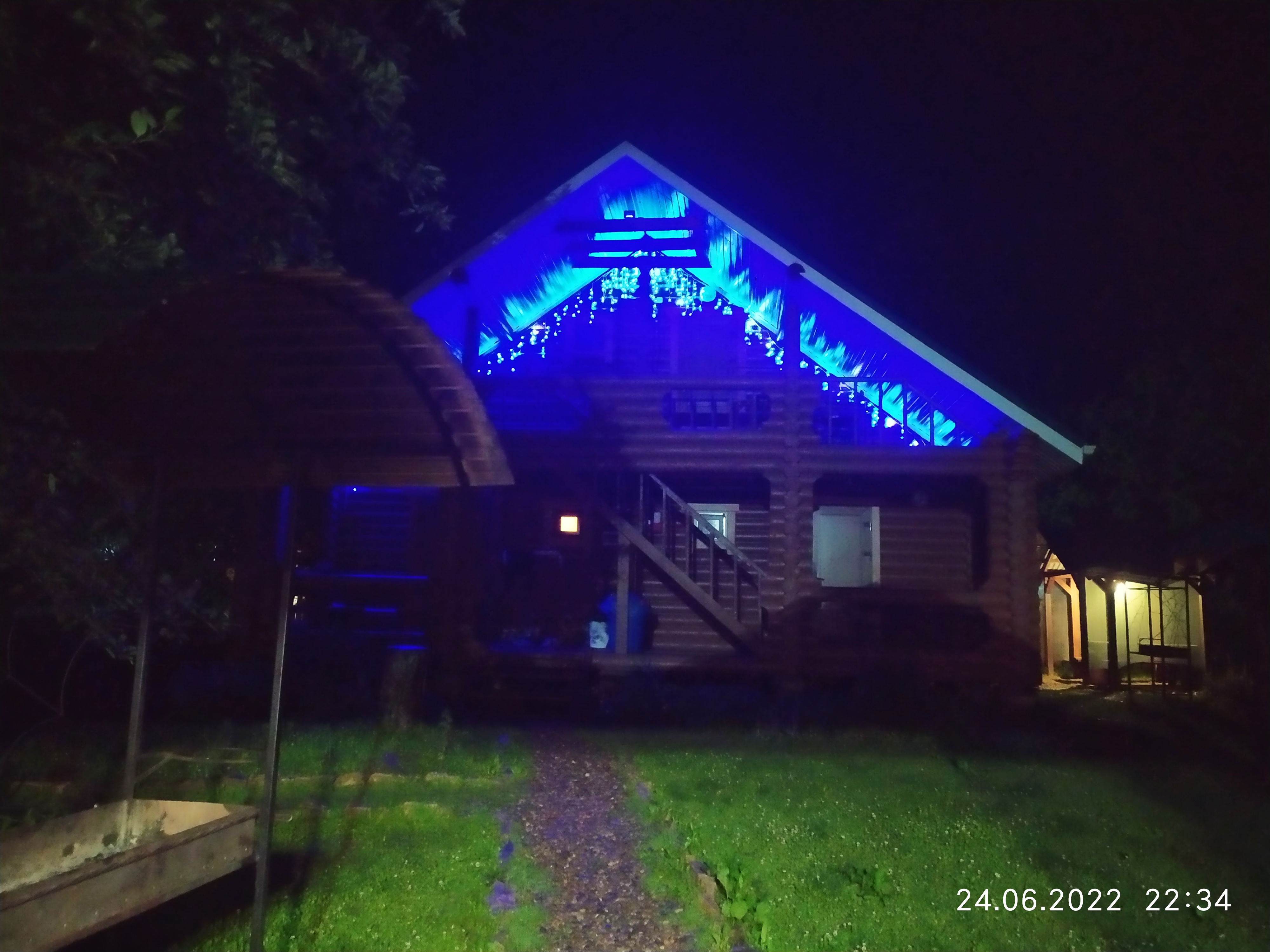 Фото Лесной