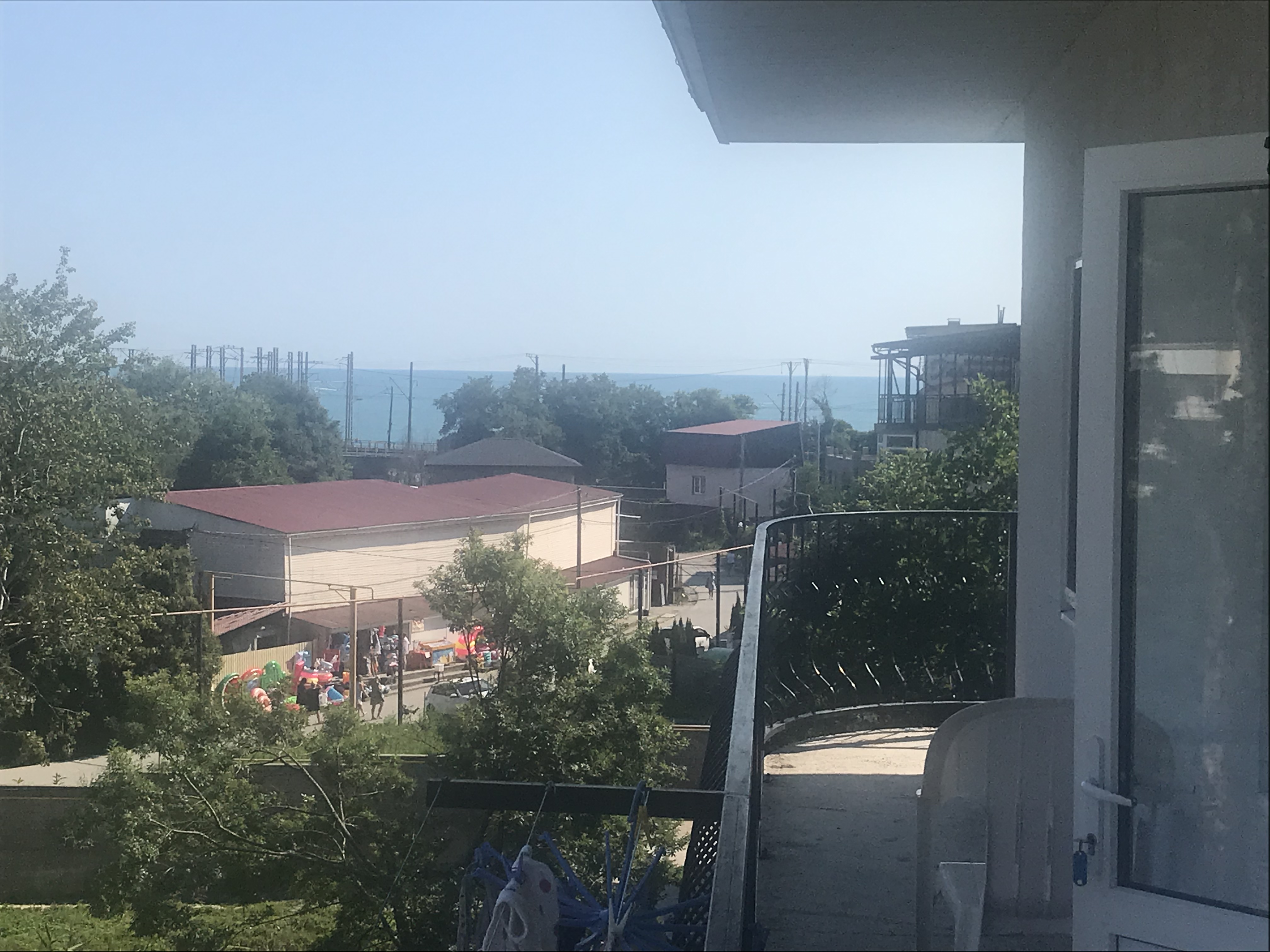 Фото Резеда