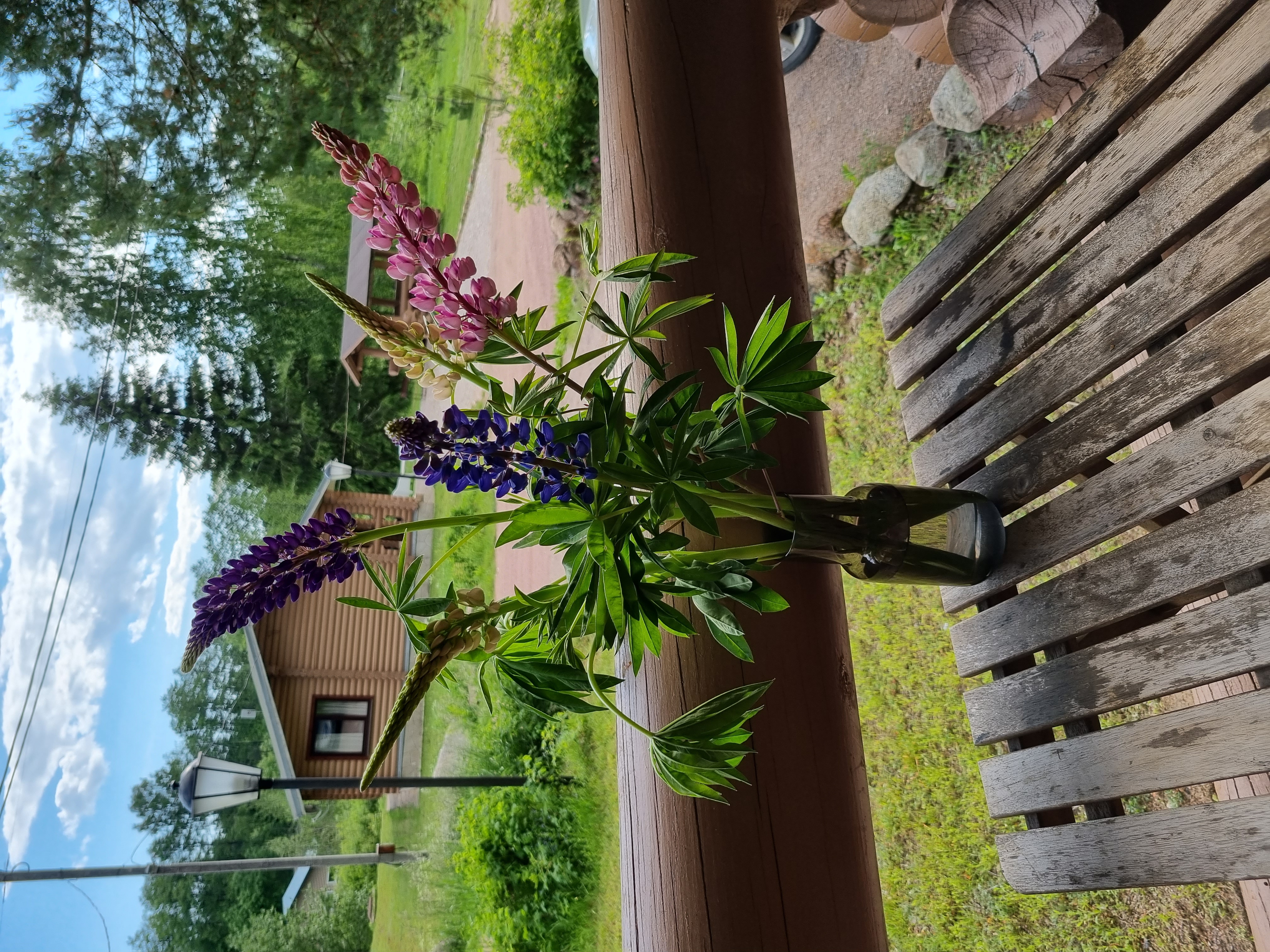 Фото Заречье