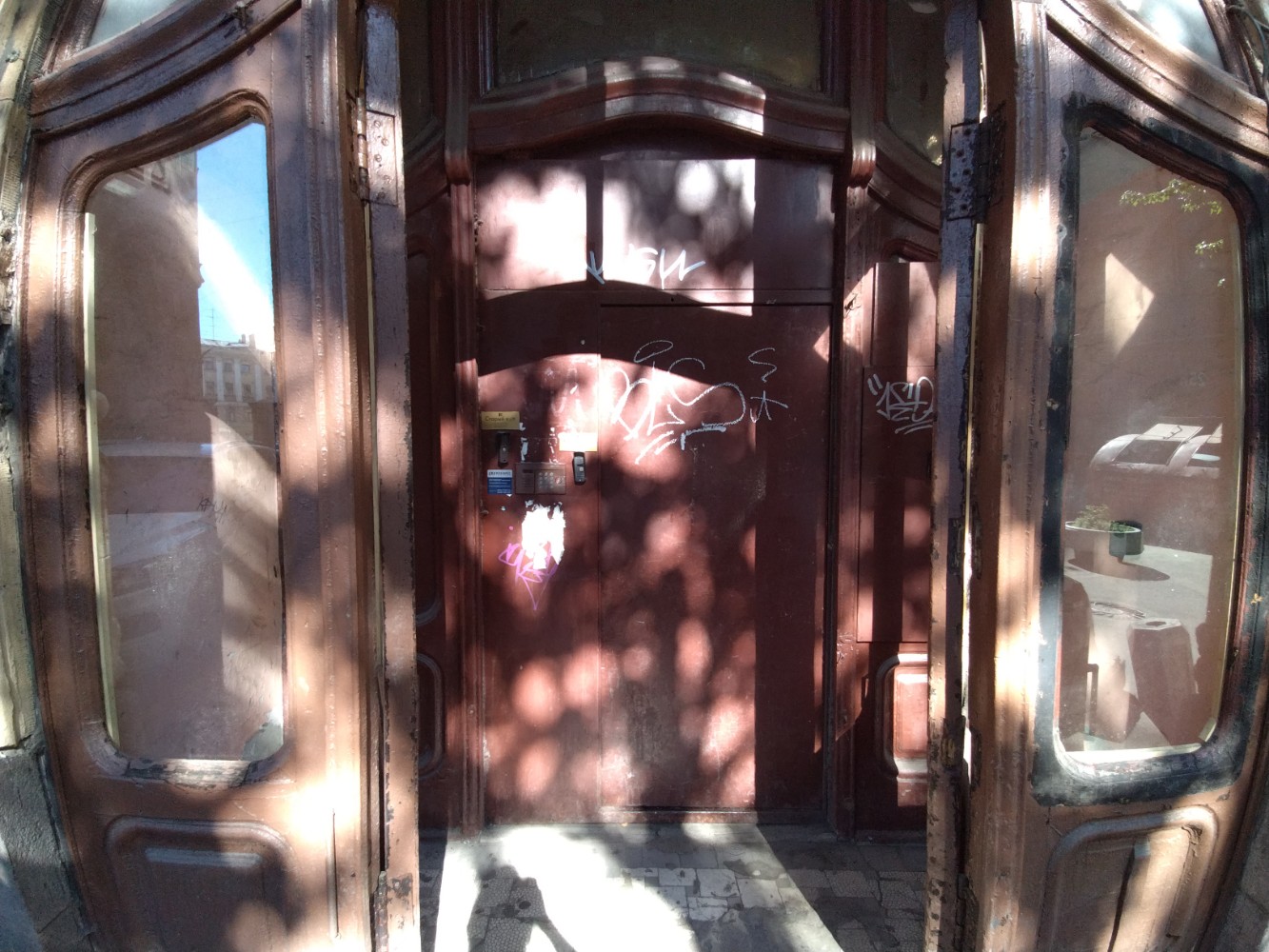 Фото Старый кот