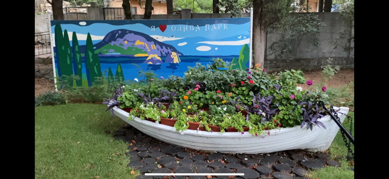 Фото Олива Парк