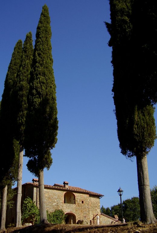 Фото Podere Pievina