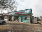 Oil Service (Abaya Avenue, 568А), express oil change