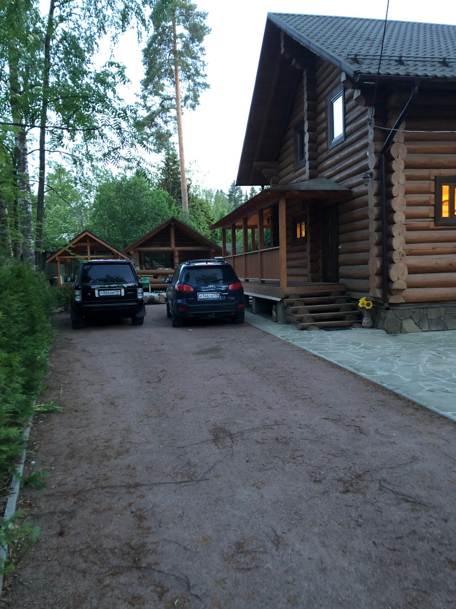 Фото Вырицкий мамонт