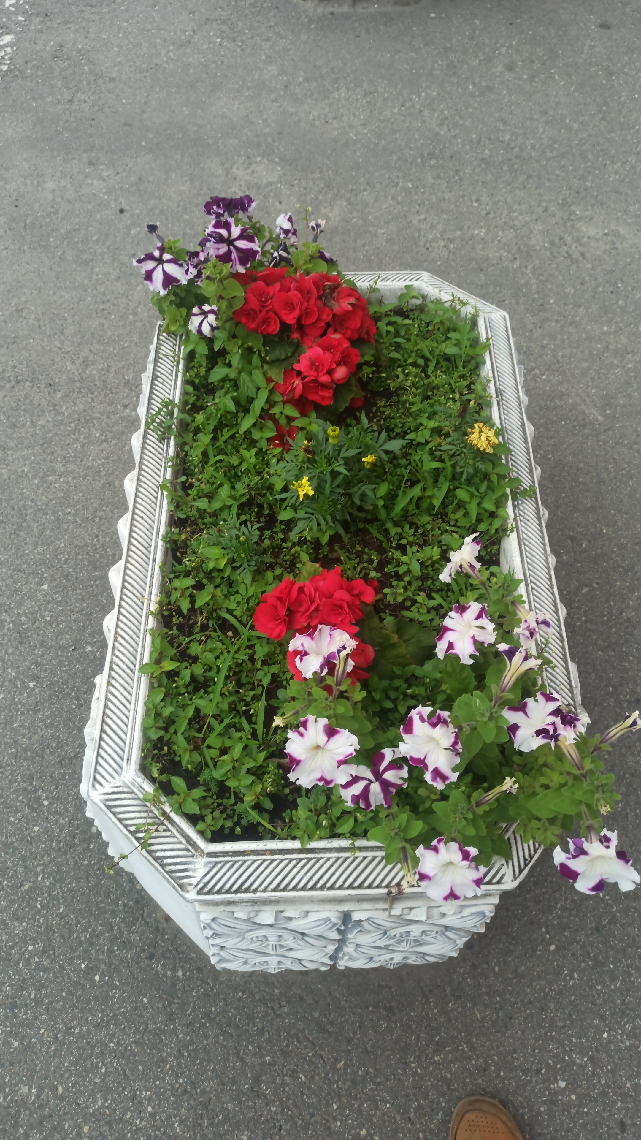 Фото Рица Парк