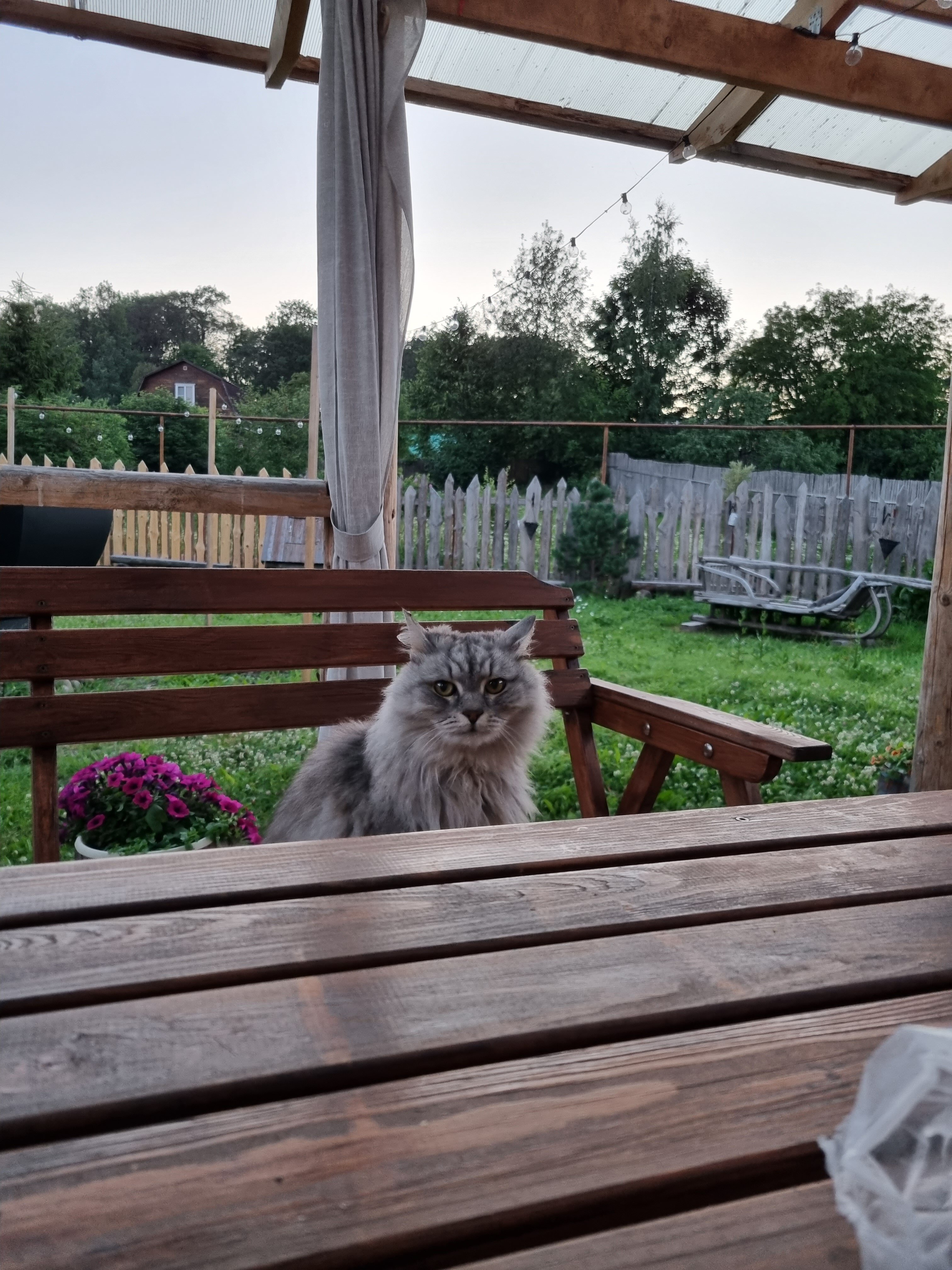 Фото Дом Абдулова на Валдае