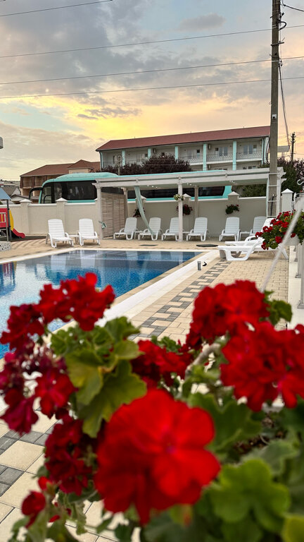 Фото Кассандра Палас