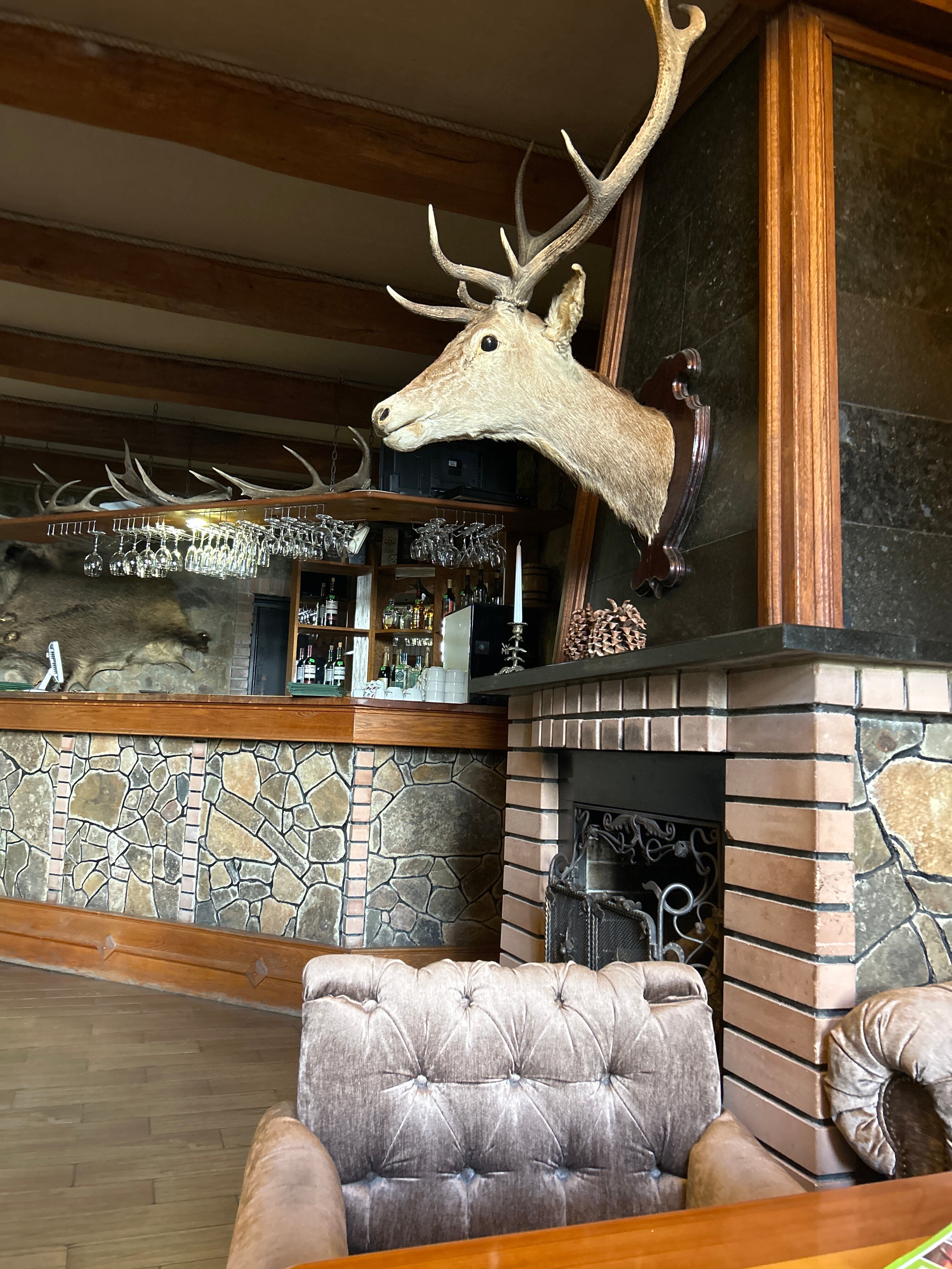 Фото Лесной