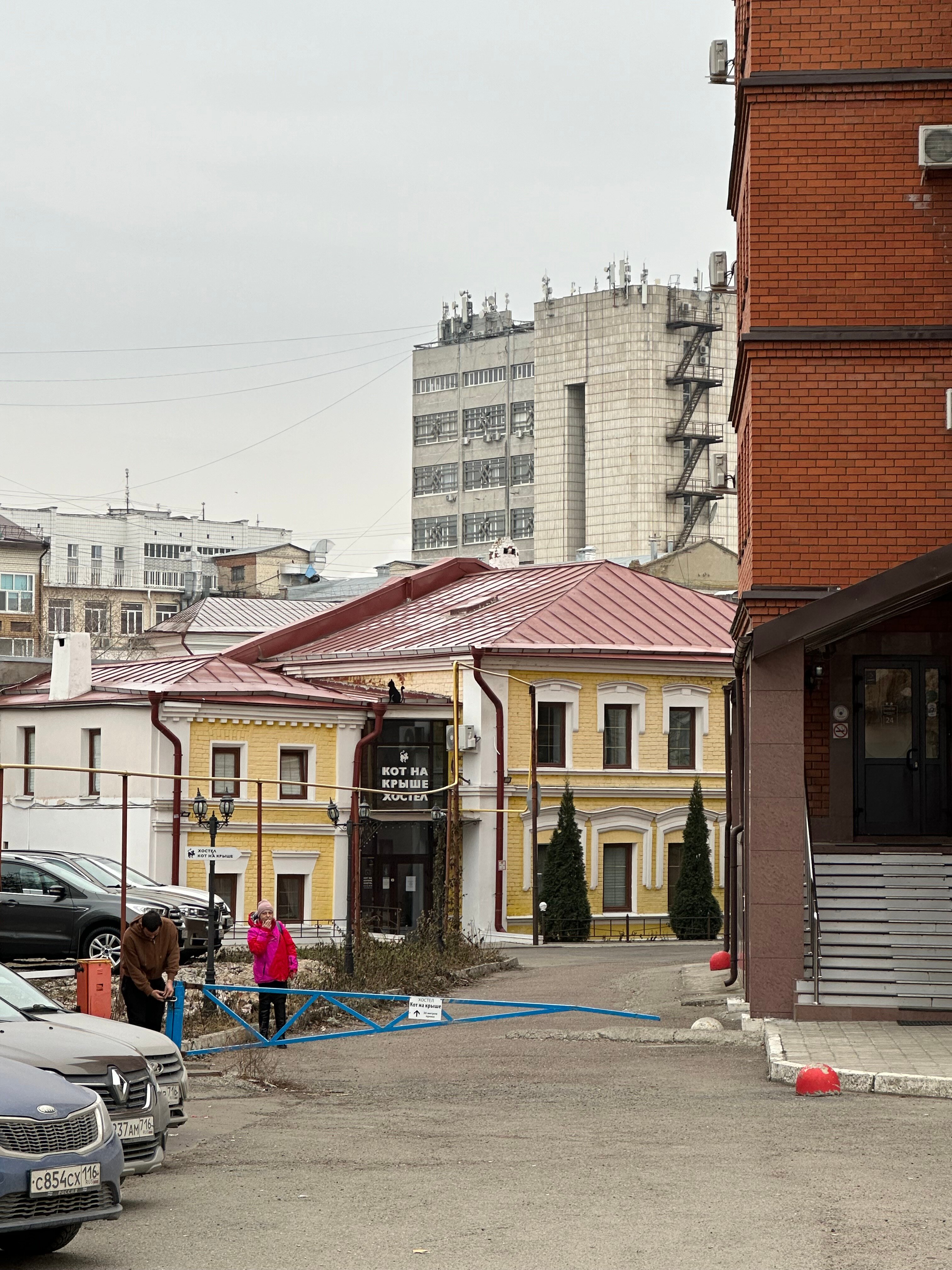 Фото Кот на крыше