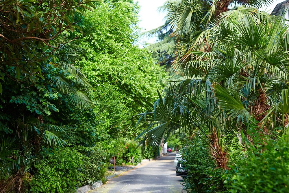 Фото Апартаменты на Цветном бульваре