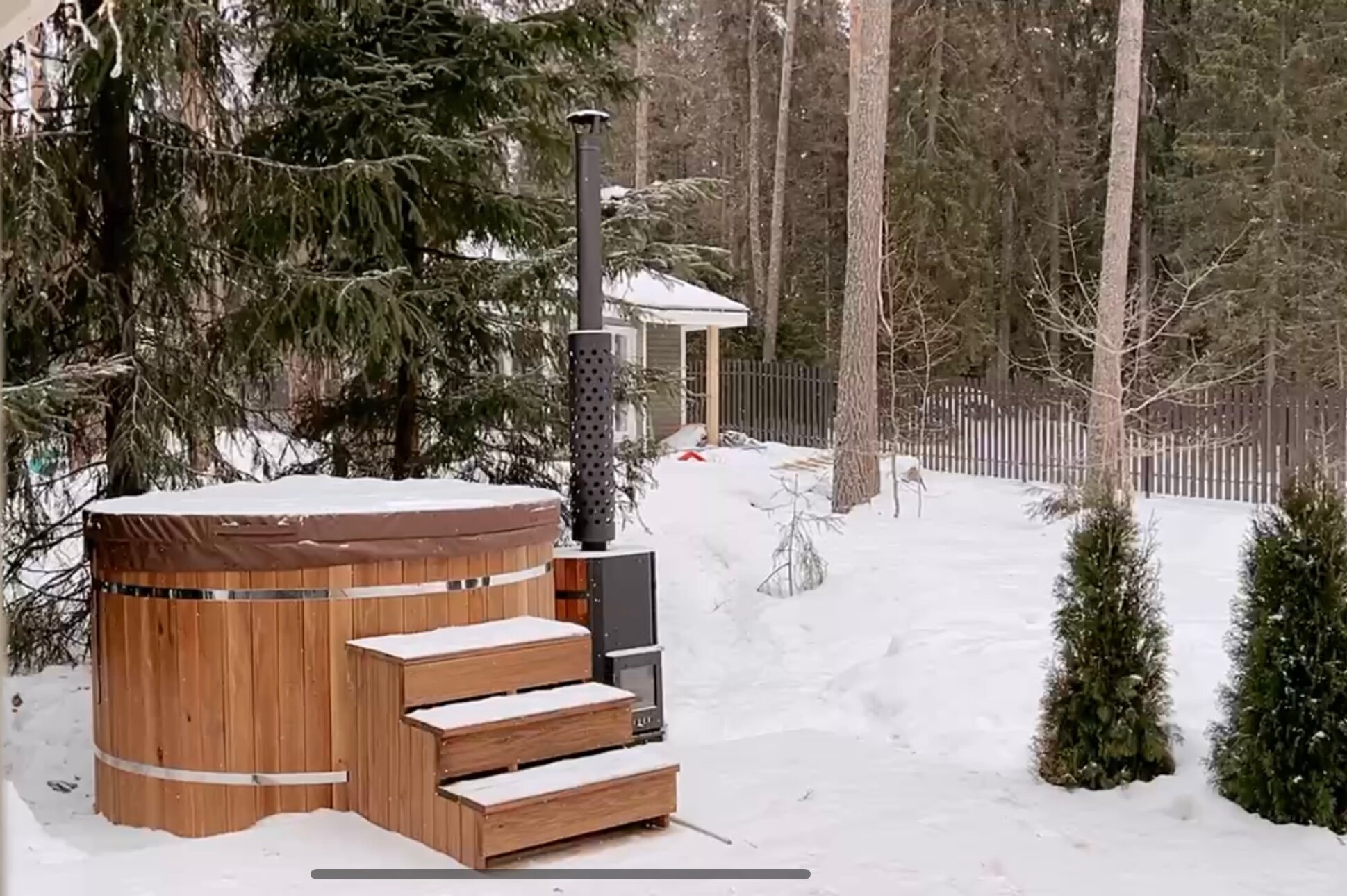 Фото Волшебный лес