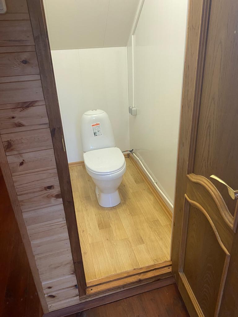 Фото Морошка