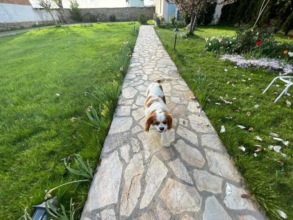 Фото Guest House & Rooms Chris Toros