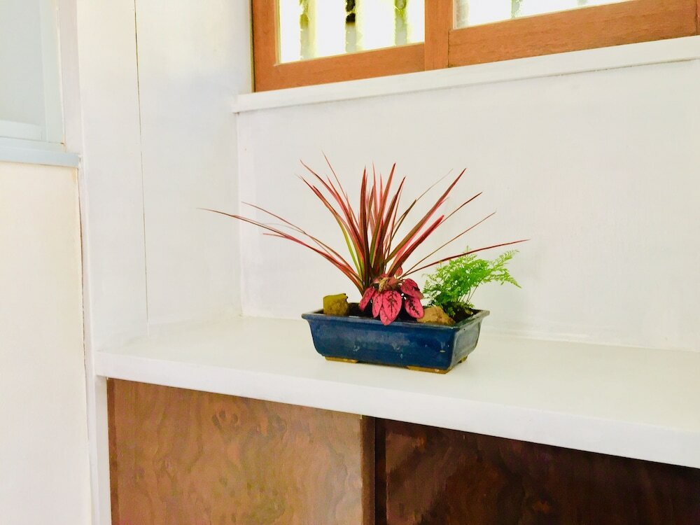 Фото Vanguard Backpackers - Hostel