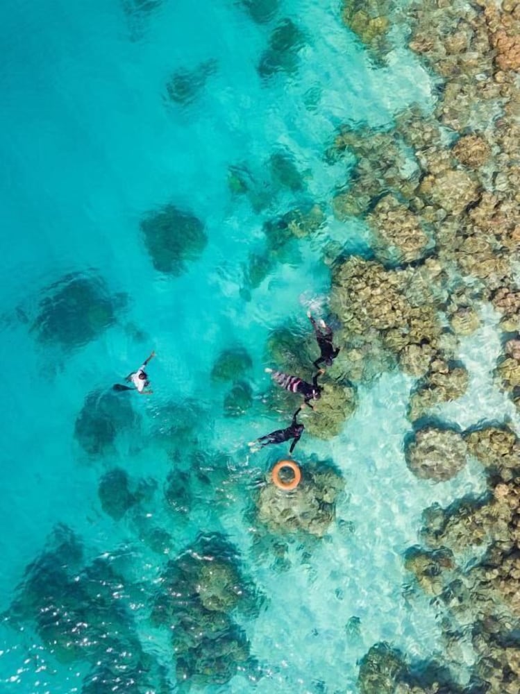 Фото One The Island