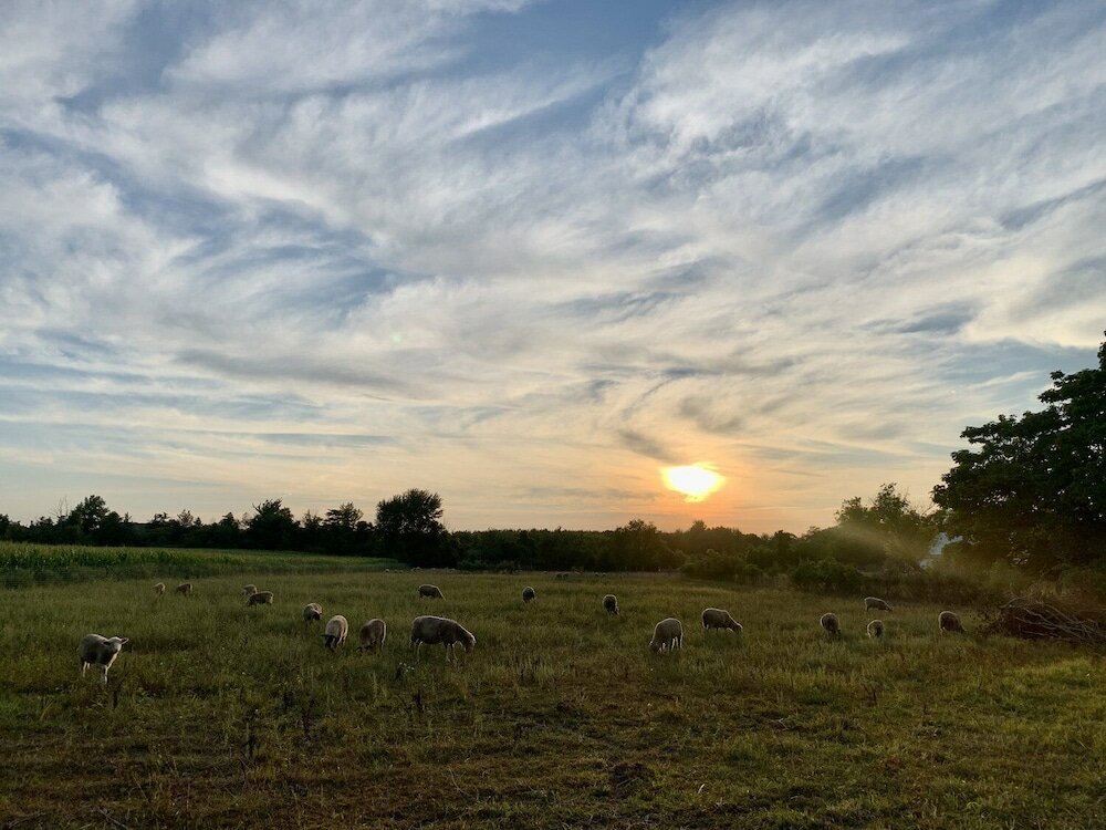 Фото Glenn Meadow Bed and Breakfast