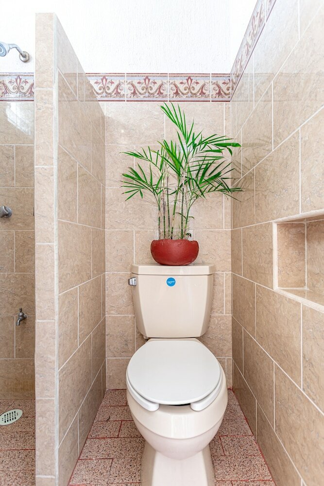 Фото Soy Local Cancun