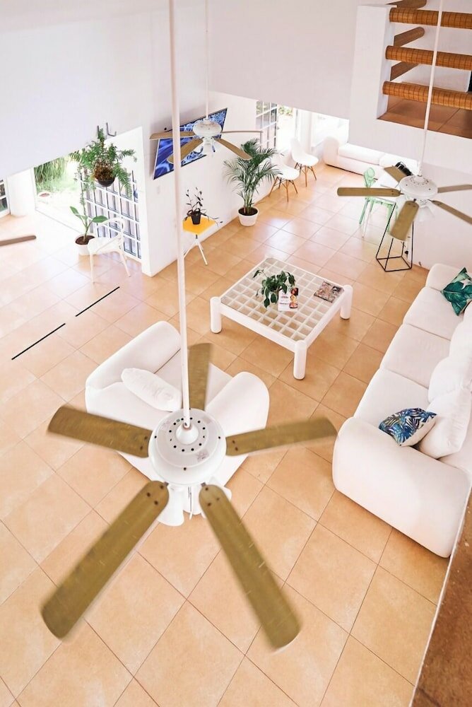 Фото Bango Mango Hostel