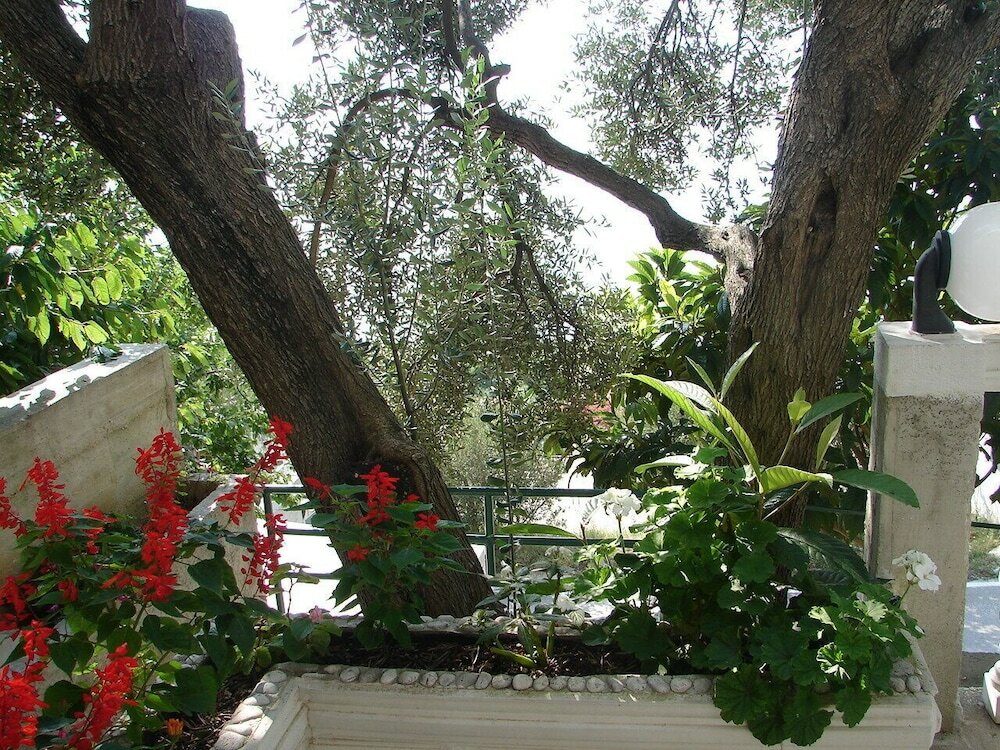 Фото Sonja - 100 m From sea - Sa5