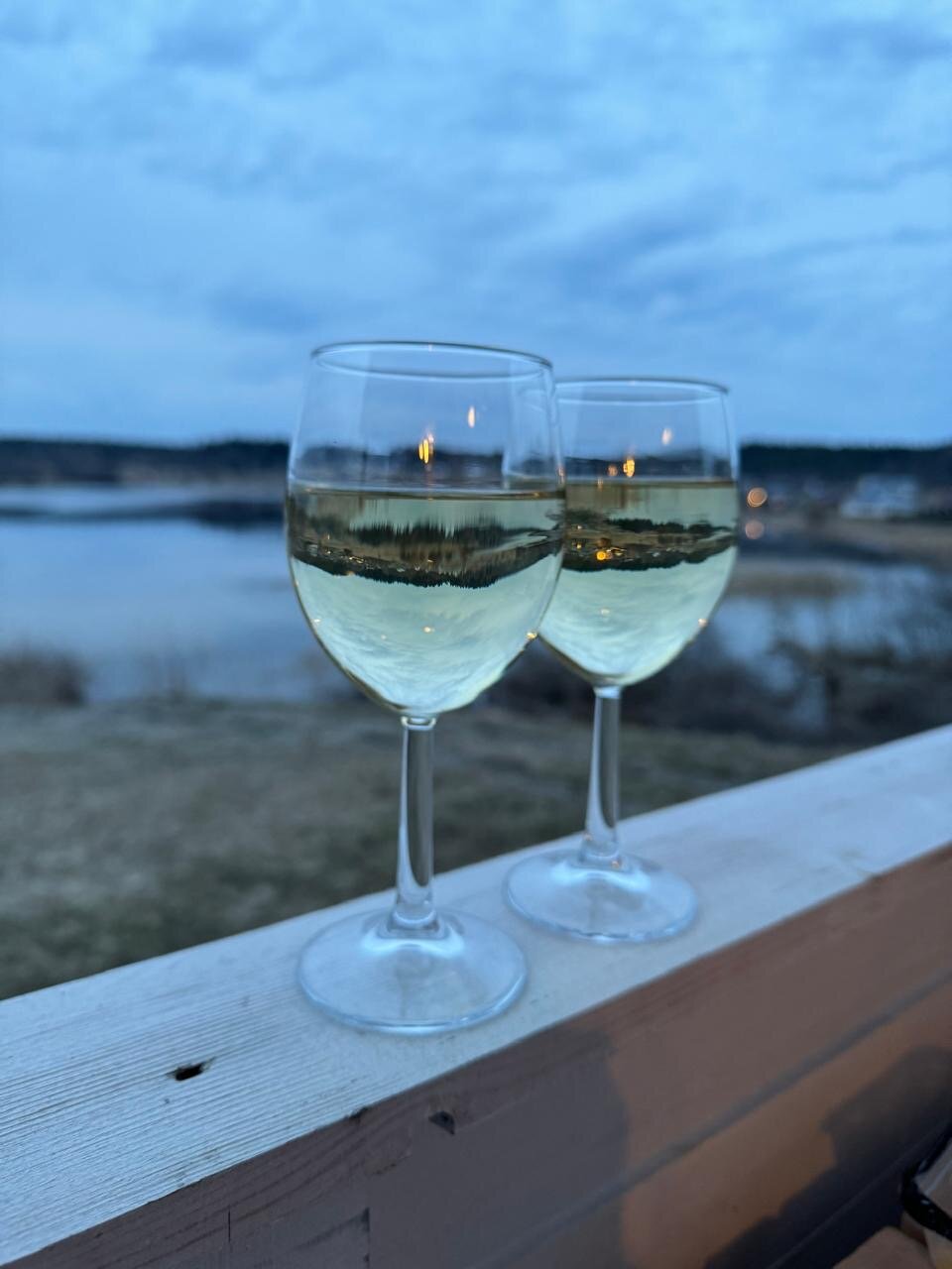 Фото Черника в Сонном заливе