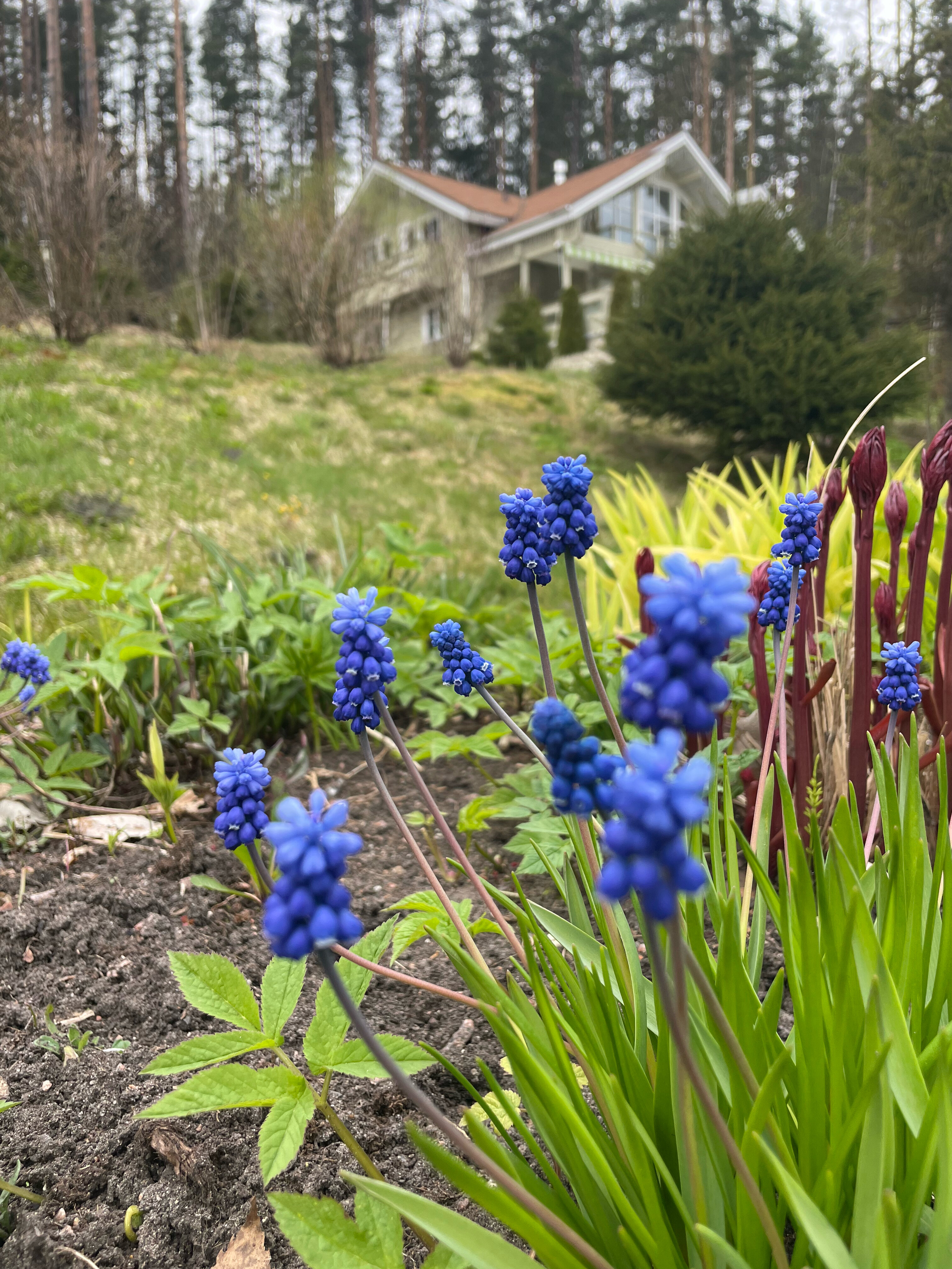 Фото Русская Красавица