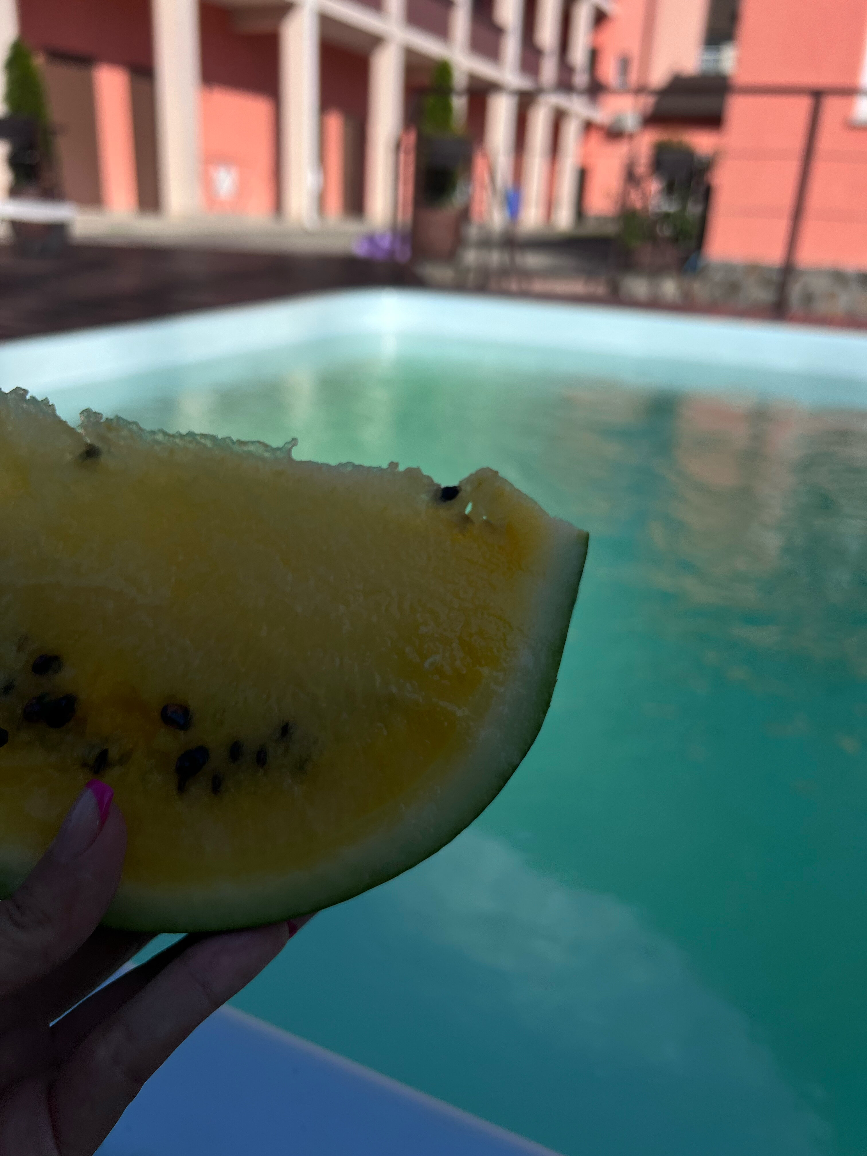 Фото Коралловый Риф