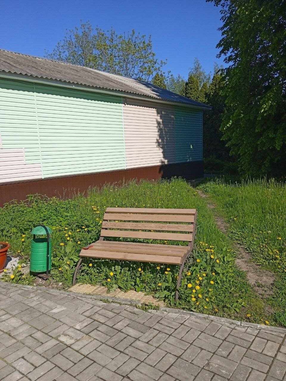 Фото Базилик