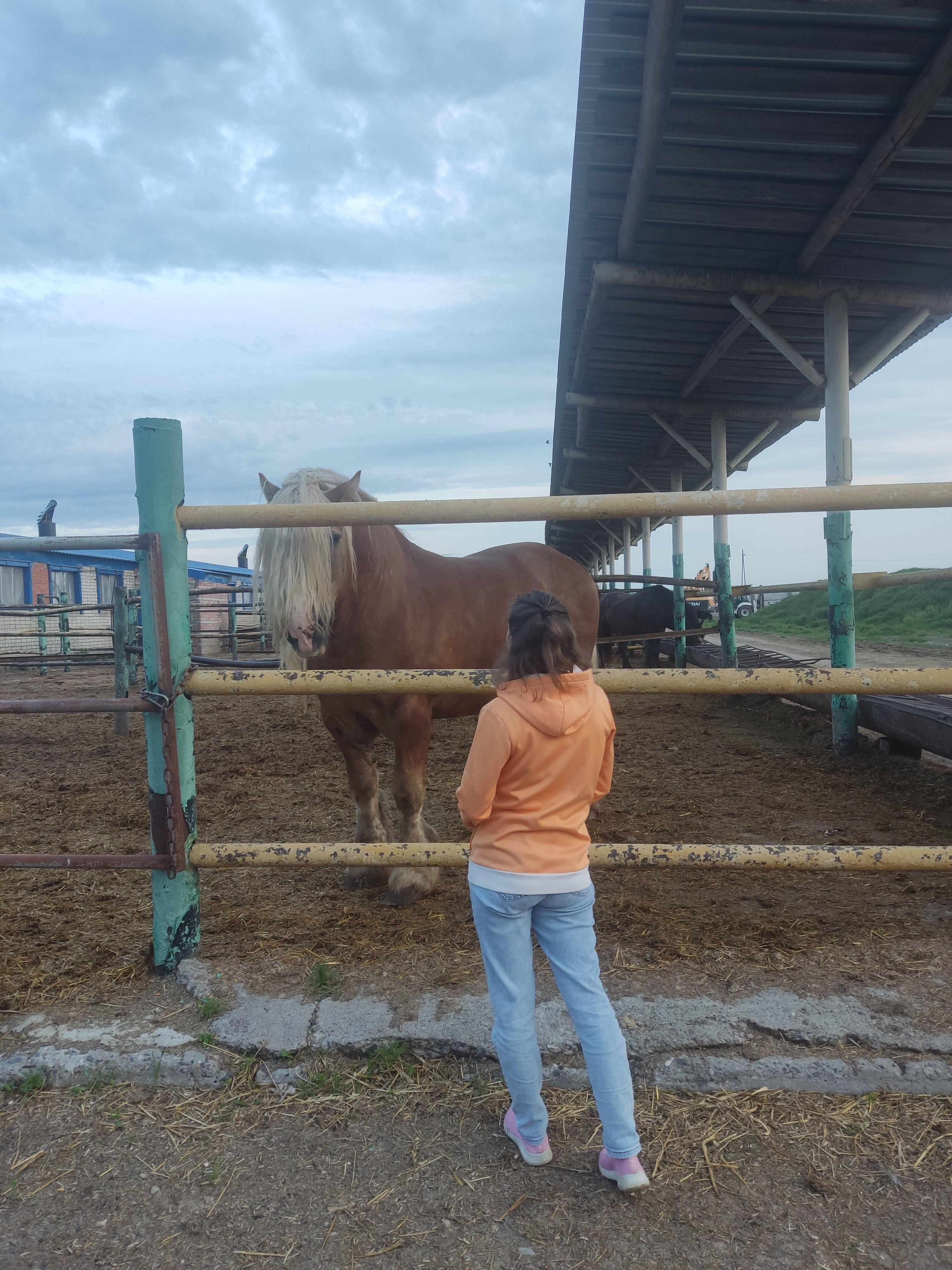 Фото Кумыска