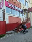Wildberries (Kamyshinskaya Street, 54), point of delivery