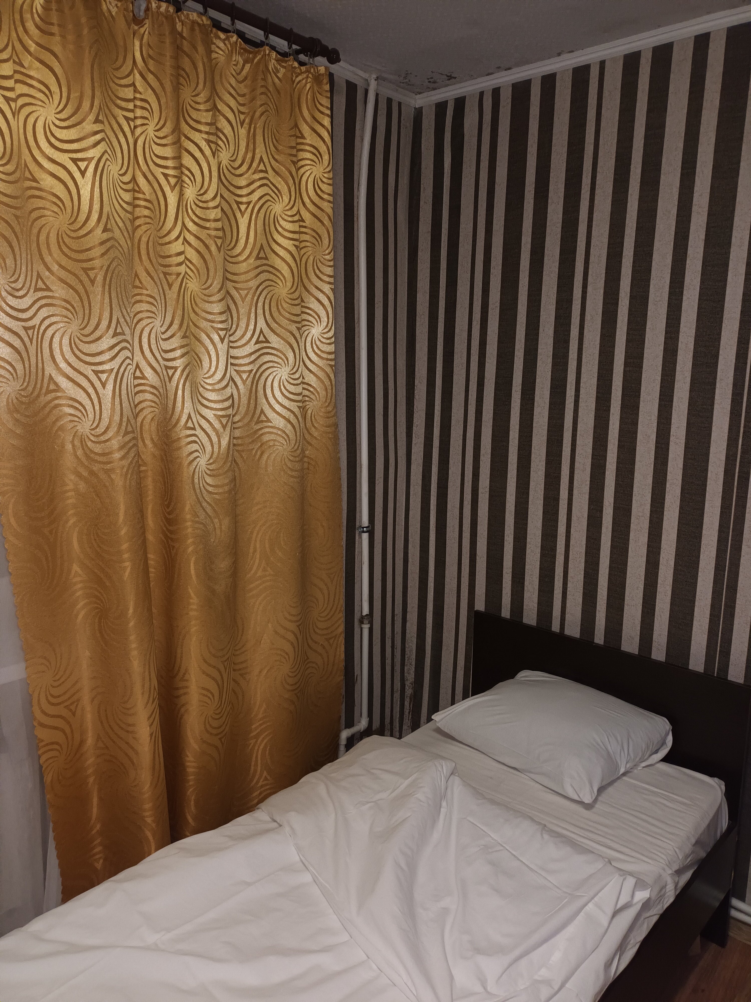 Фото Базилик