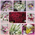 Империя Праздника (posyolok Verkhnebakanskiy, Pochtovaya ulitsa, 2), artículos para fiestas