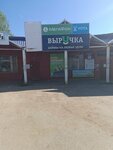 Vyruchka (Settlement of Balezino, Sovetskaya Street, 1) ، مؤسسات التمويل الصغرى