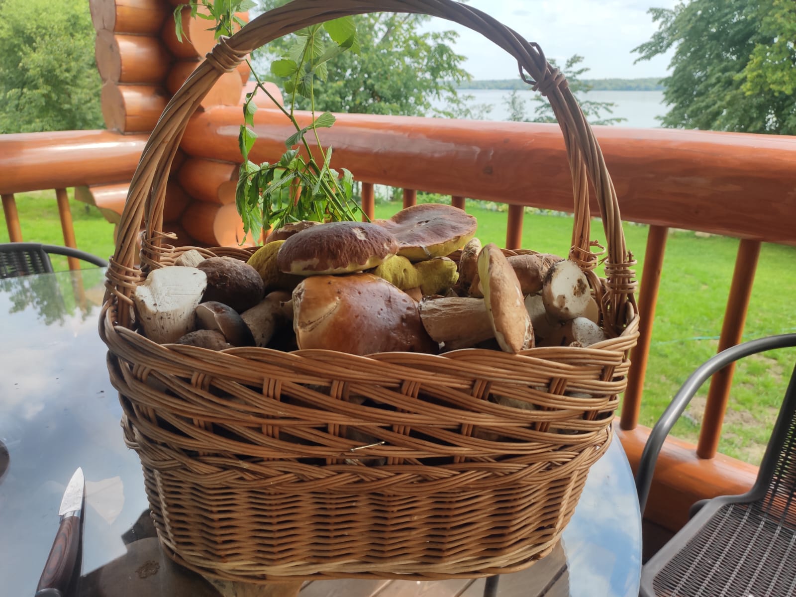 Фото Дом на Волге