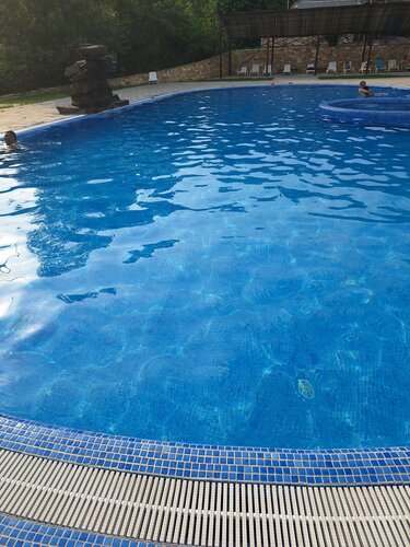 Mushuk suratining barcha nozik tomonlari