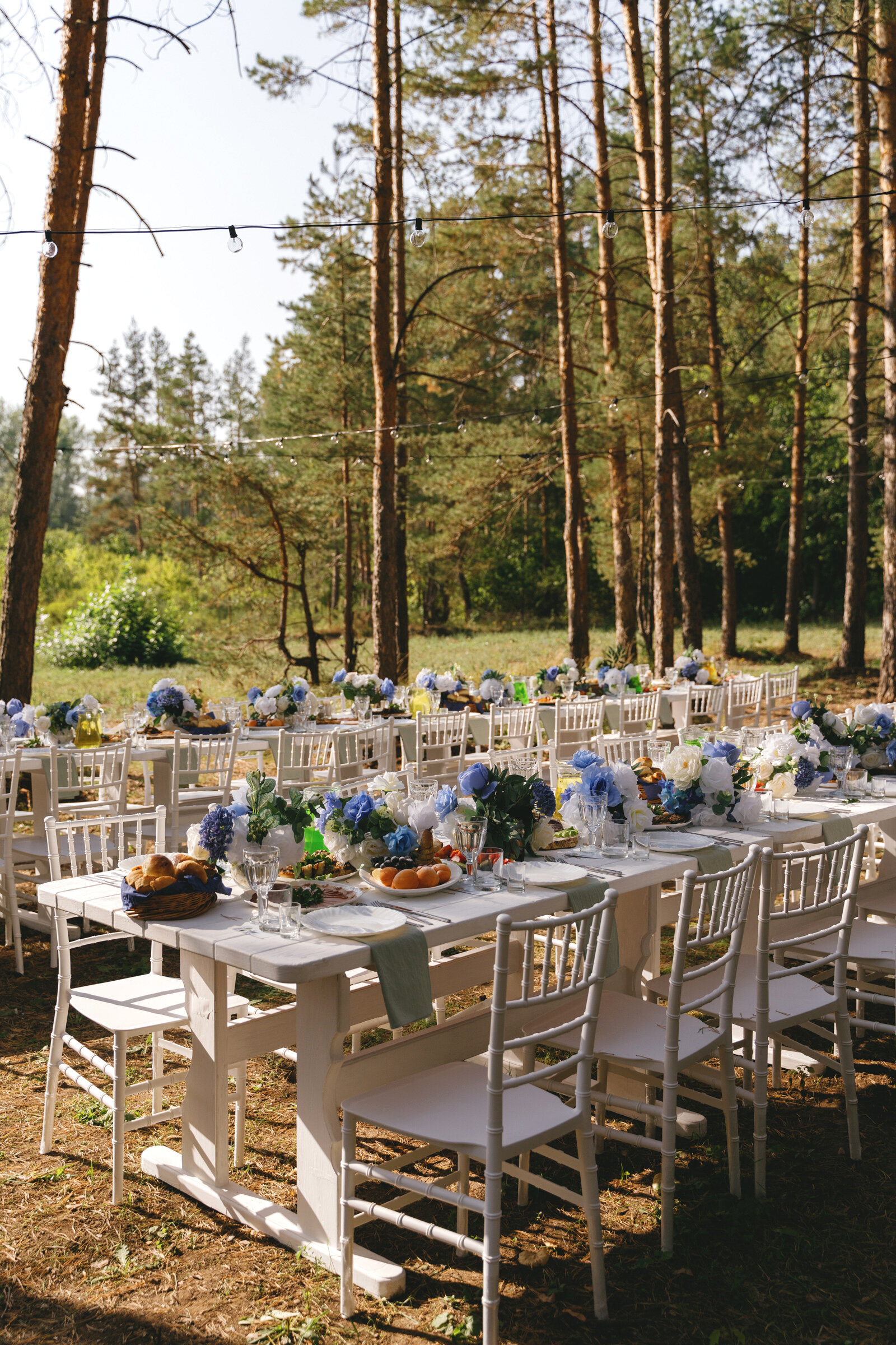 Фото Черёмушки