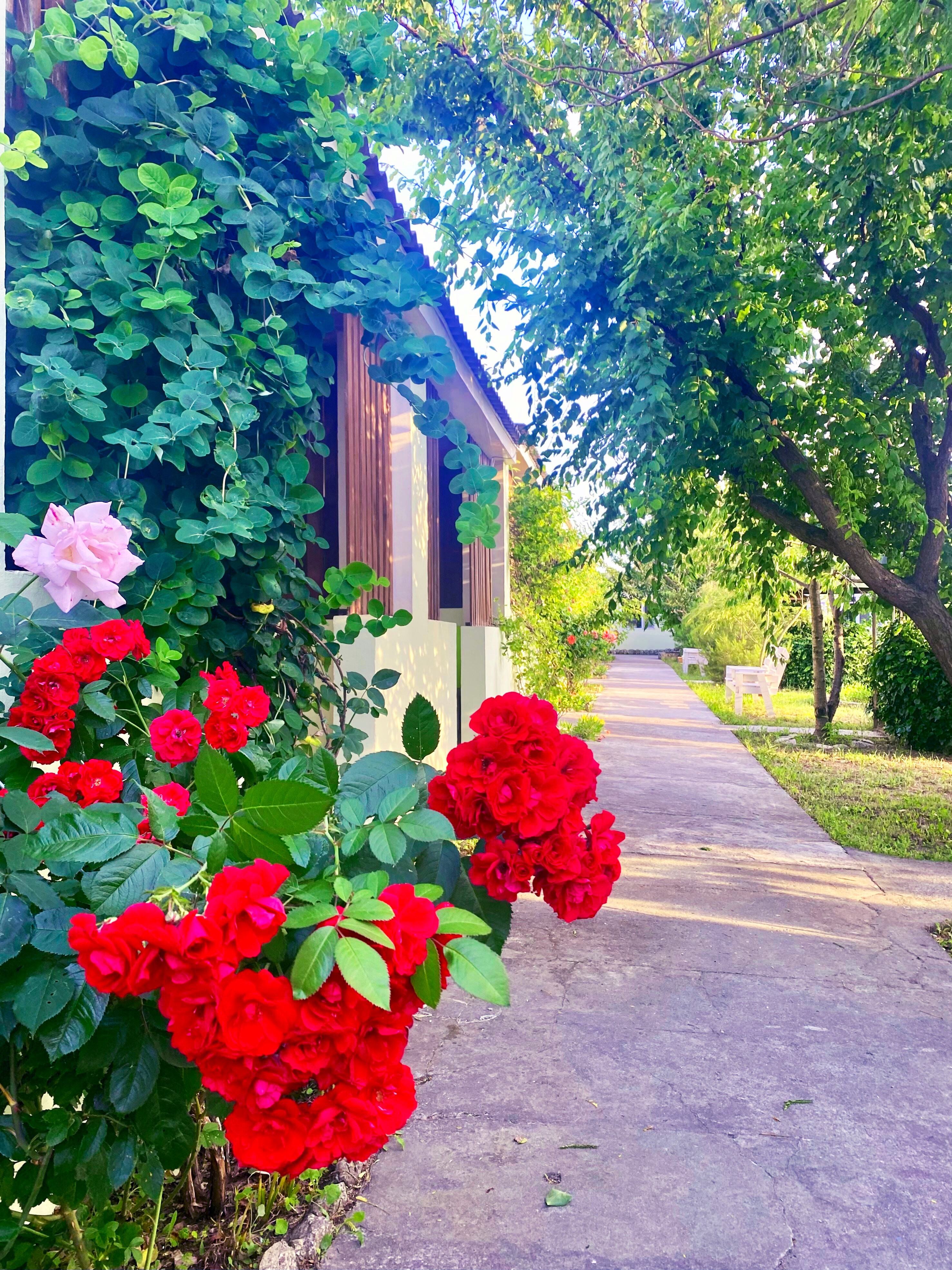 Фото АвокаДа